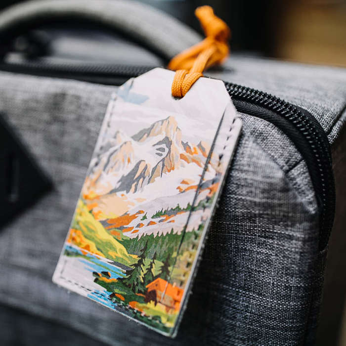 Backerton Leather Luggage Tags