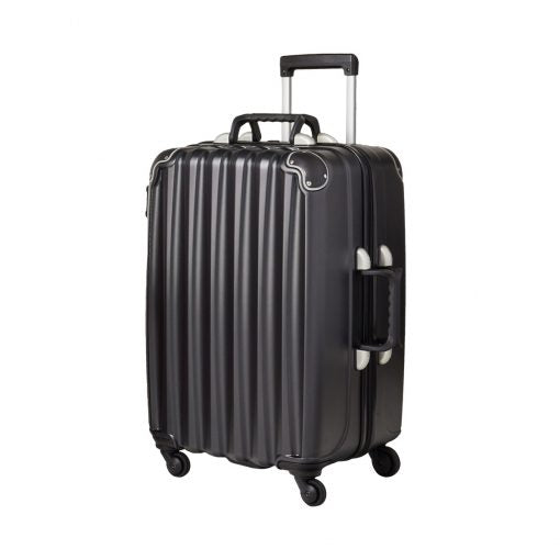 VinGardeValise® Wine Carrier The Grande