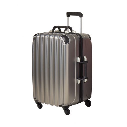 VinGardeValise® Wine Carrier The Grande